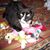 Suzanne Sosnow Tucker's profile image