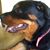 Lotskie Yamashita's profile image