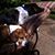 Charlene Burns's profile image