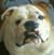 Roy Scott DePew's profile image