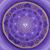 Sonya Toole's profile image