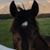 Kathleen Hars's profile image