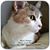Tracey Tamayo's profile image