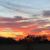 Karen Gossvener Wellman's profile image