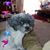 Kathleen Lynne Ludiker-Carl's profile image