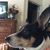 Misti Lucius's profile image