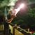 Billy Flyte's profile image
