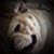 Vickie Garrett's profile image