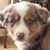 Mary Hanson's profile image
