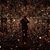 Courtney Probert's profile image