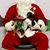 Mary Bucci's profile image