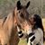 Judith Tanda's profile image