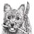 Carole Bragg Kreider's profile image
