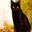 Kelly Gribb's profile image