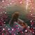 Sheila LaRue's profile image
