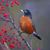 Brenda DeGraaf Snyder's profile image