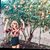 Emily O'Boyle's profile image