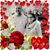 Vicki Tew Cochran's profile image