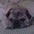 Missy Varner Potter's profile image