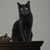 Mary K. Temple's profile image