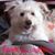 Melissa Strunk's profile image