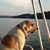 Leslie Dolvin's profile image
