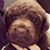 Mary D'Agostino's profile image