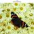 Mildred Lackey's profile image
