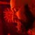 John Phillip's profile image
