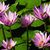 Barb Jacobs Moser's profile image
