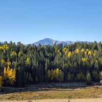 Stephanie Hagedorn Golden's profile image