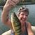 Stacey H. Fillion's profile image