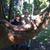 Lori Shaulis's profile image