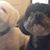 Sandra L. Fisher's profile image
