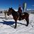 Lisa Gluhm's profile image