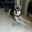 Trevor Jue's profile image