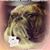 Stephanie Kovach Griffith's profile image