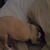 DeeDee Everett's profile image