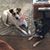 Ginny Miller's profile image
