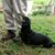 Ann Seymour's profile image