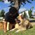 Octavio Photos's profile image