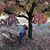 Nancy Sancho Philipp's profile image
