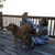 Leani Spinner's profile image