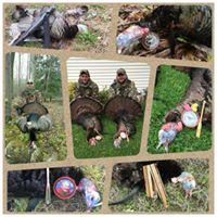 Gregg Guthridge's profile image