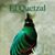 Amilcar Abuelo Juarez-Archila's profile image