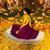 Datta Trivedi's profile image