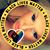 Diane Miranda Weaver's profile image