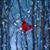 Michele Schetter's profile image