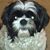 Terri Bowlin's profile image
