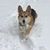 Laurie Jackson Nigro's profile image